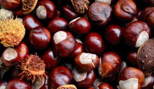 castagne