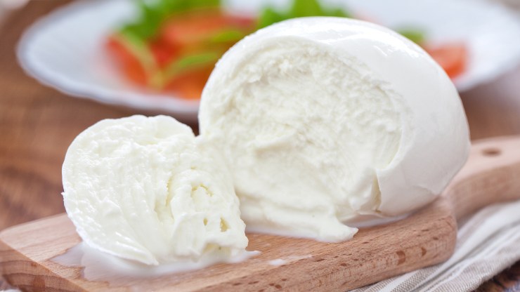 mozzarella bufala