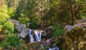 Parco del Matese