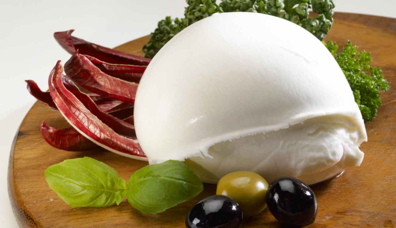 mozzarella di bufala