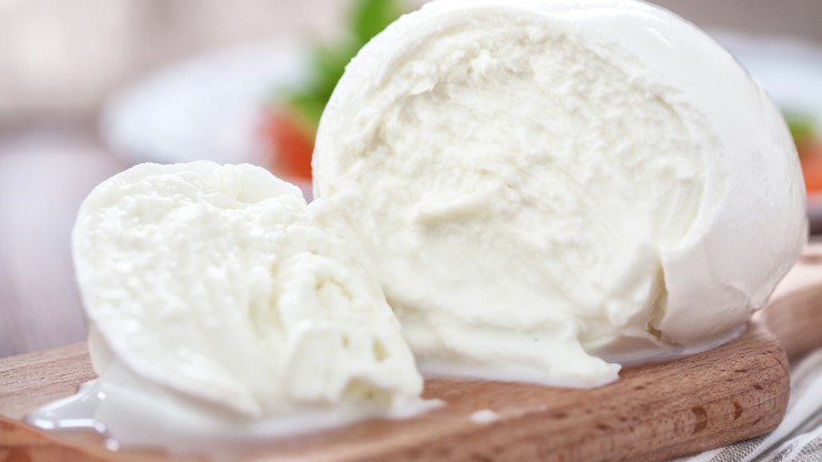 mozzarella di bufala